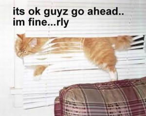 Im fine....rly