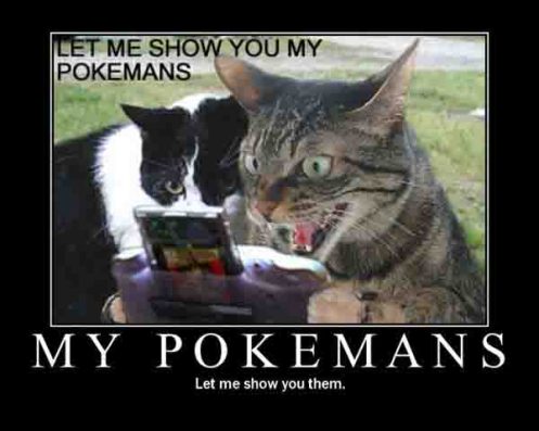 pokemanscat2