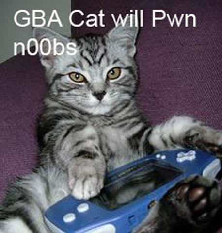 pwn-noobscat1